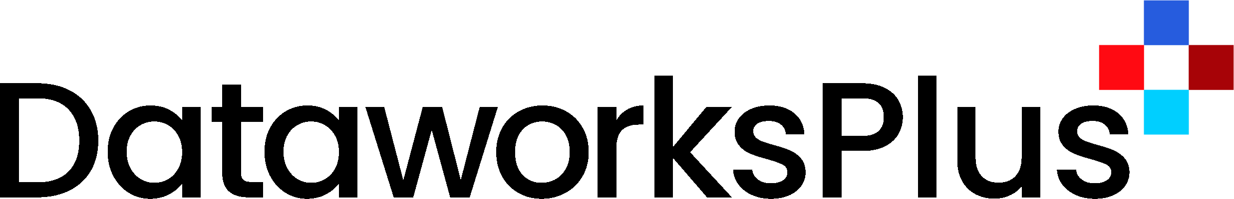 DataWorks Plus